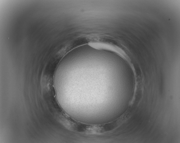 X0000080730125200612221303