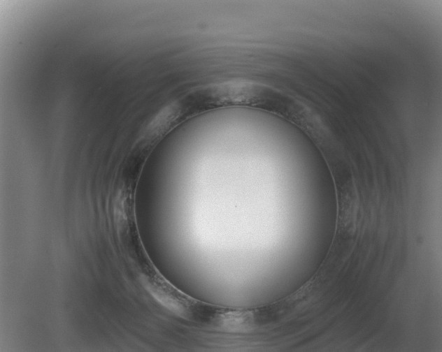 X0000080730126200612221303