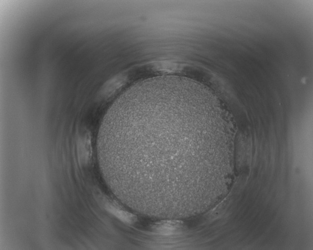 X0000080730128200612221303