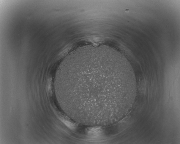 X0000080730132200612221303