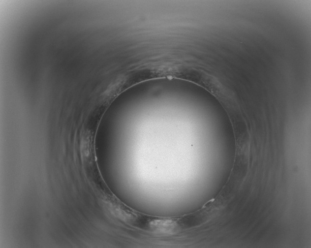 X0000080730133200612221303