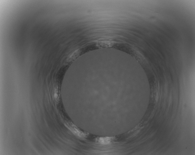 X0000080730134200612221303