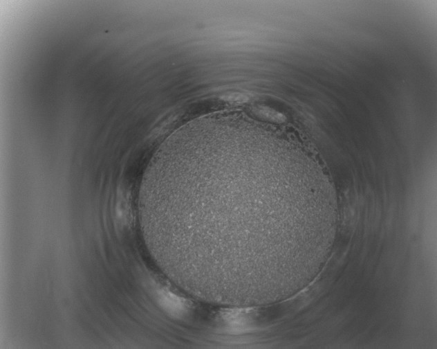 X0000080730136200612221302