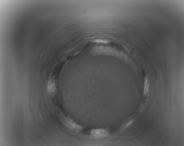 X0000080730137200612221302