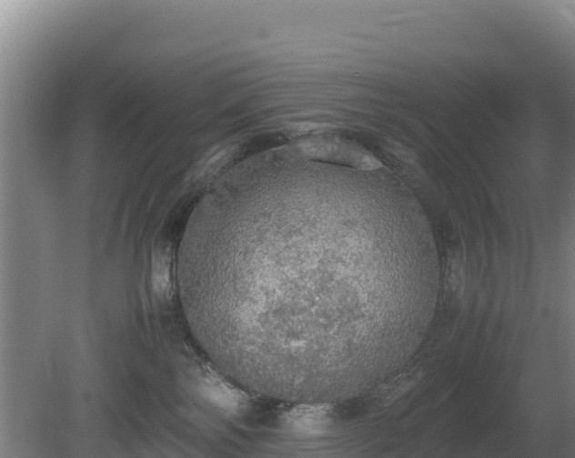 X0000080730138200612221302