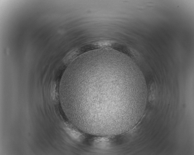 X0000080730140200612221302