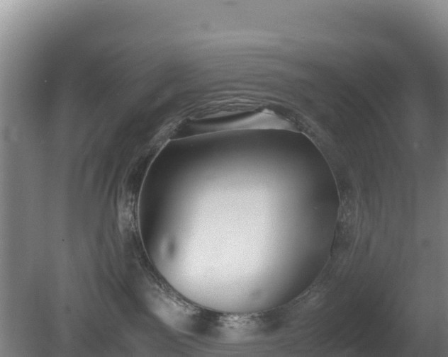 X0000080730141200612221302