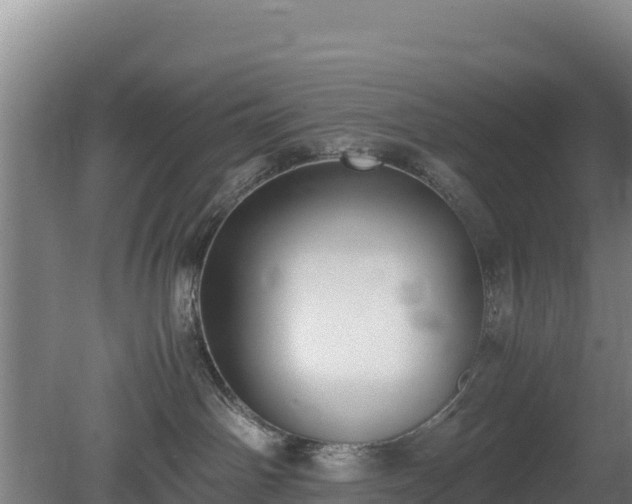 X0000080730142200612221302