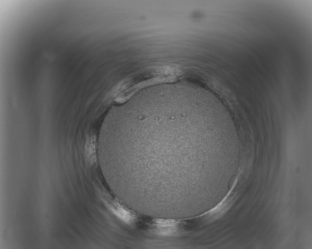 X0000080730144200612221302