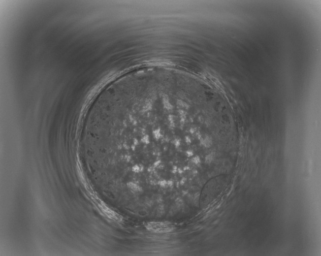 X0000080730145200612221302