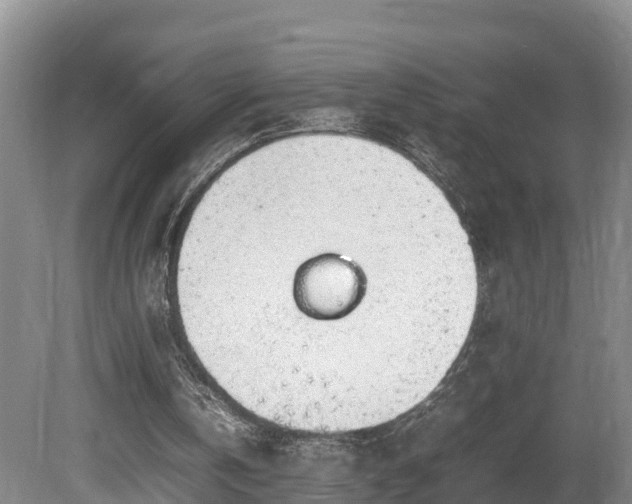 X0000080730146200612221302