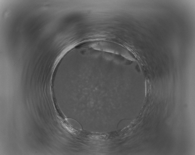 X0000080730147200612221302