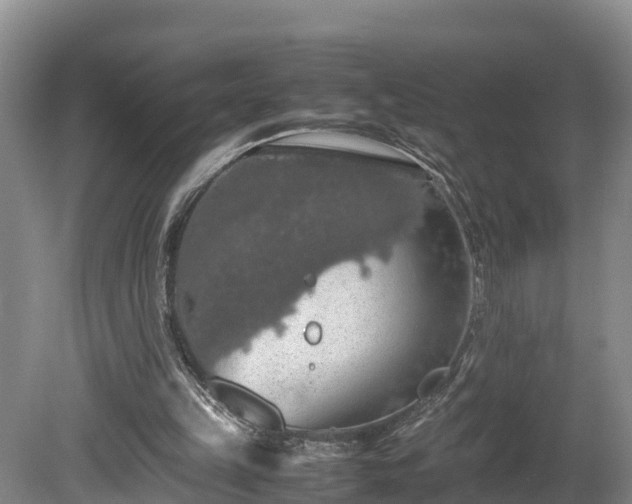 X0000080730149200612221302