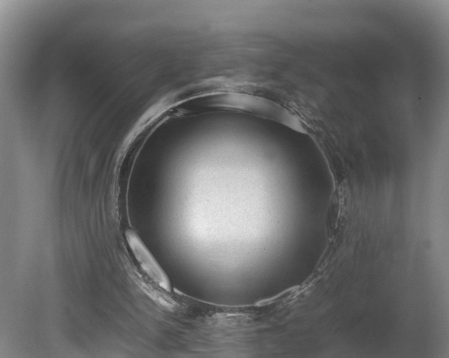 X0000080730150200612221302