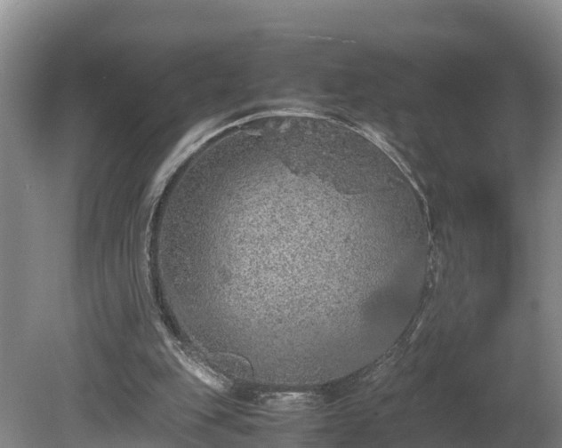 X0000080730151200612221302