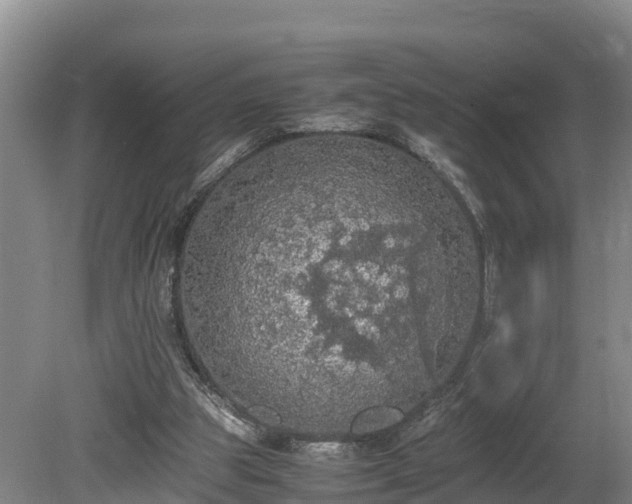 X0000080730153200612221302