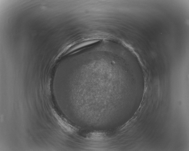 X0000080730154200612221302