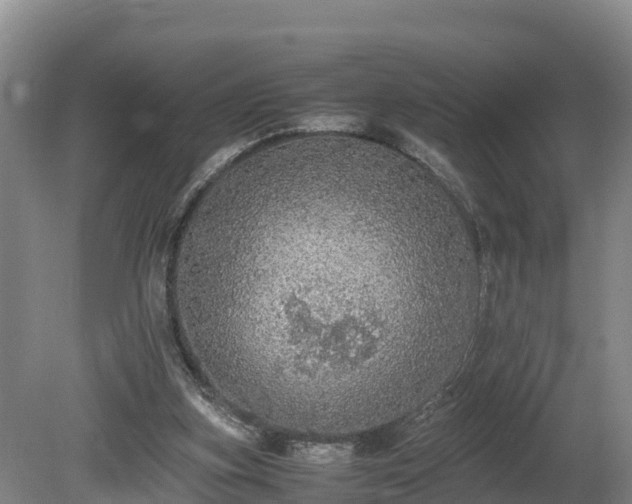 X0000080730155200612221302