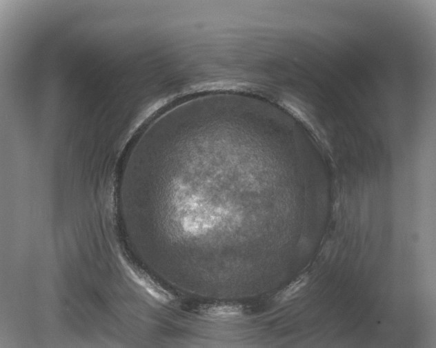 X0000080730156200612221302