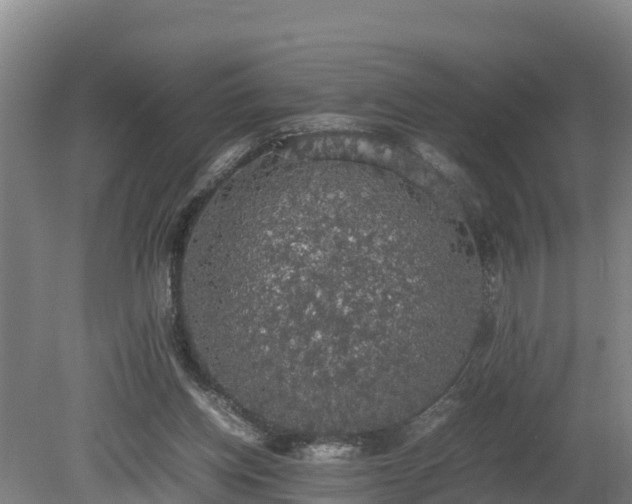 X0000080730158200612221302