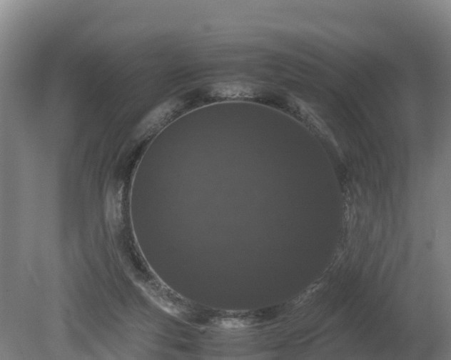 X0000080730163200612221302