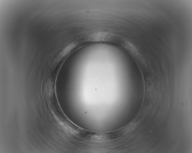 X0000080730164200612221302