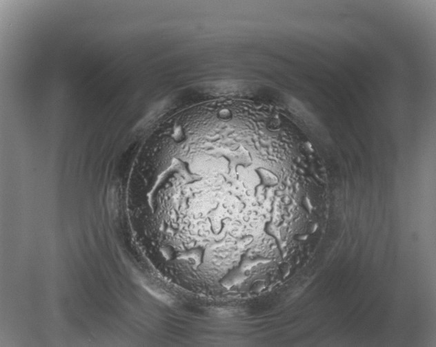 X0000080730165200612221302