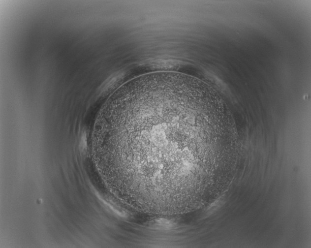 X0000080730166200612221302