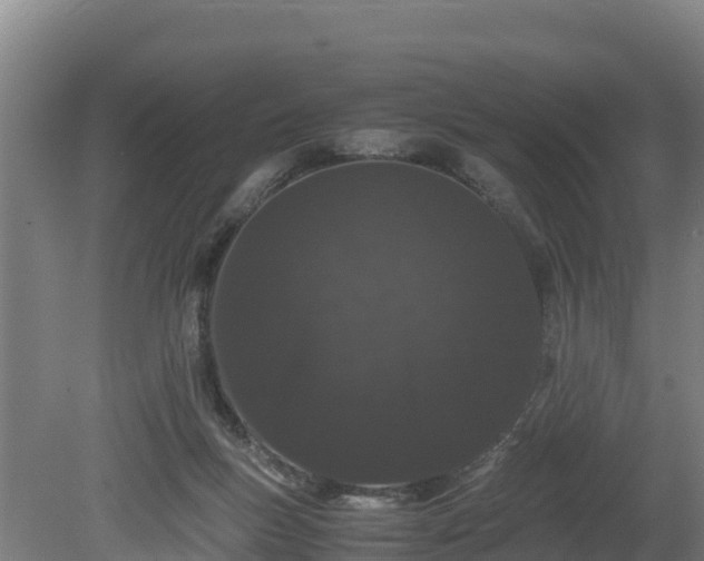 X0000080730167200612221302