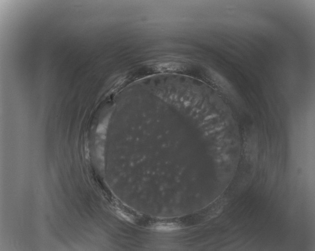 X0000080730169200612221302