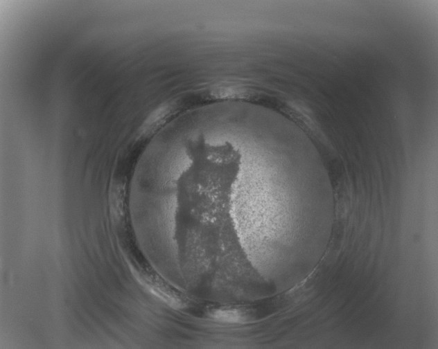 X0000080730171200612221302