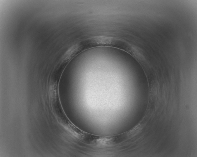 X0000080730172200612221302