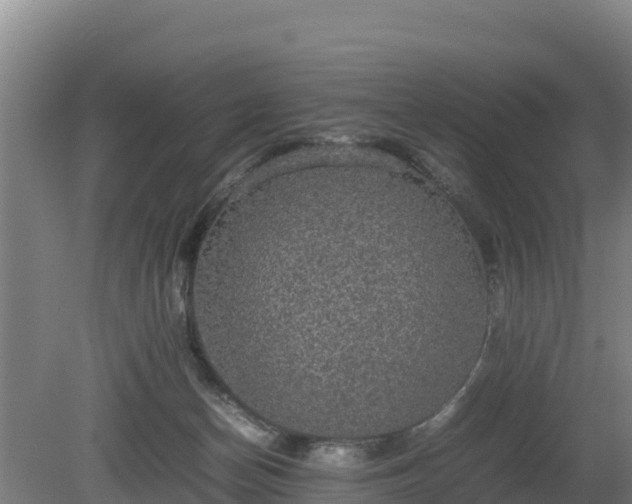 X0000080730174200612221302