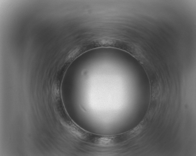 X0000080730176200612221302