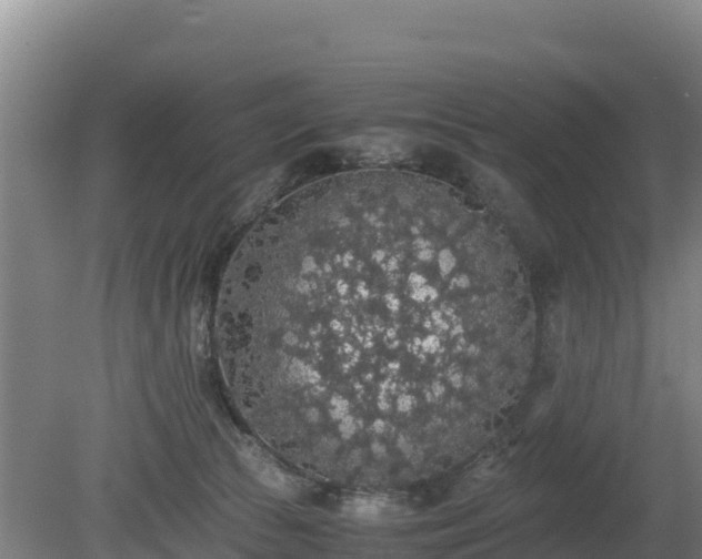 X0000080730177200612221302