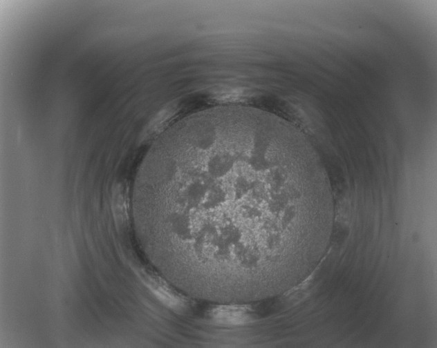 X0000080730179200612221302