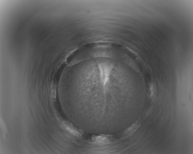 X0000080730180200612221302