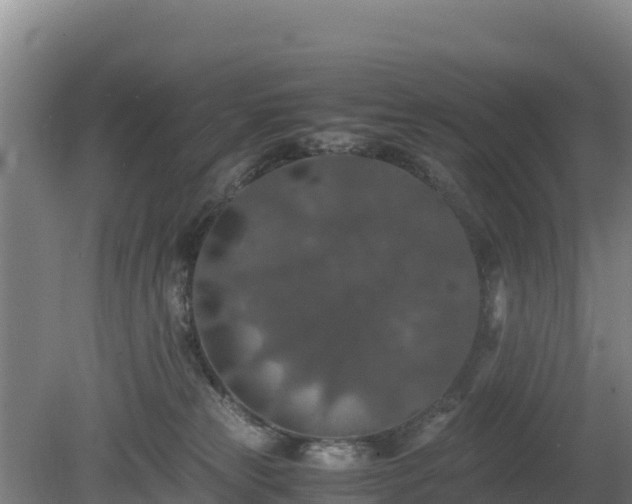 X0000080730181200612221302