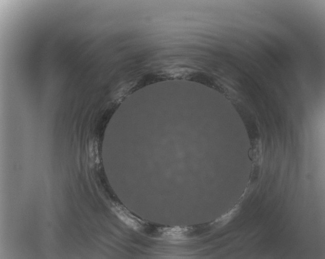 X0000080730182200612221302