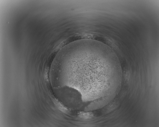 X0000080730185200612221302