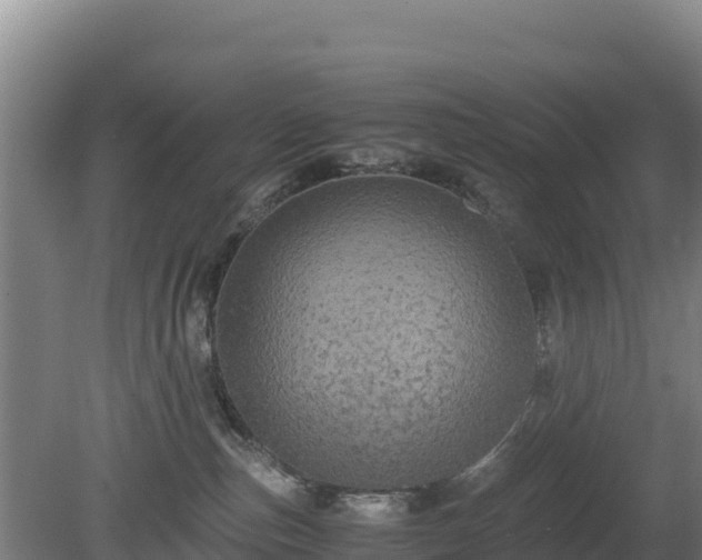 X0000080730187200612221302