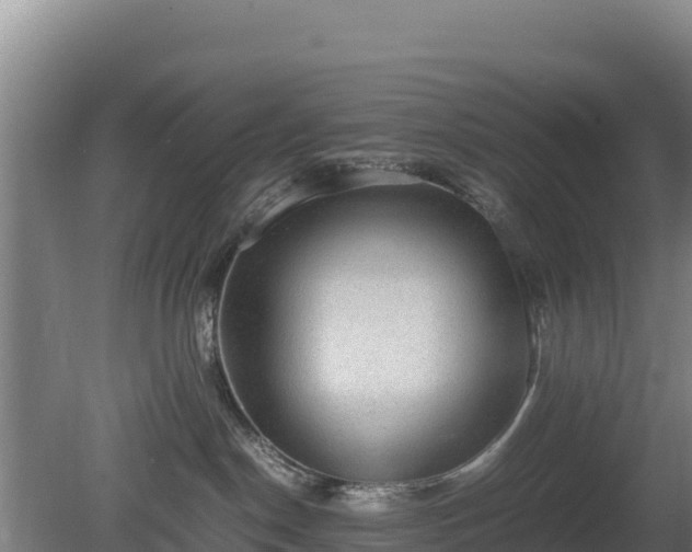 X0000080730190200612221302