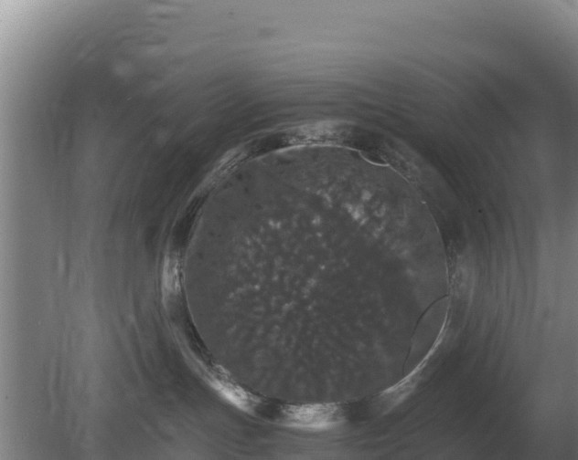 X0000080730191200612221302