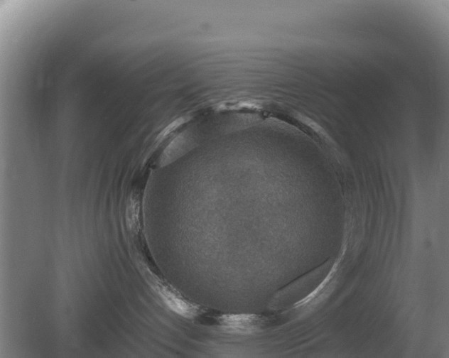 X0000080730192200612221302