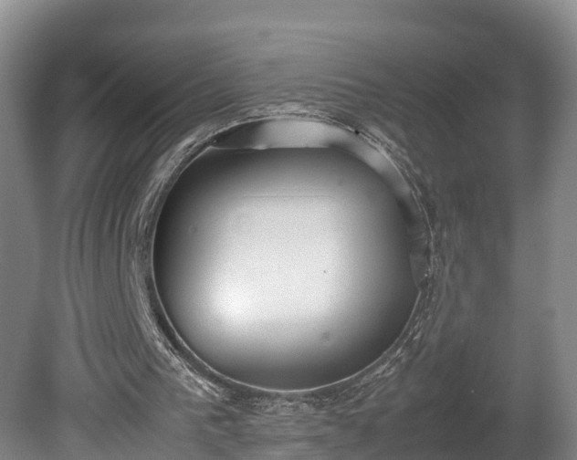 X0000080730193200612221302