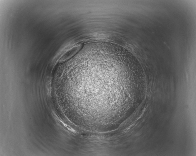 X0000080730194200612221302