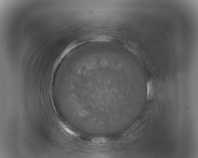 X0000080730195200612221302