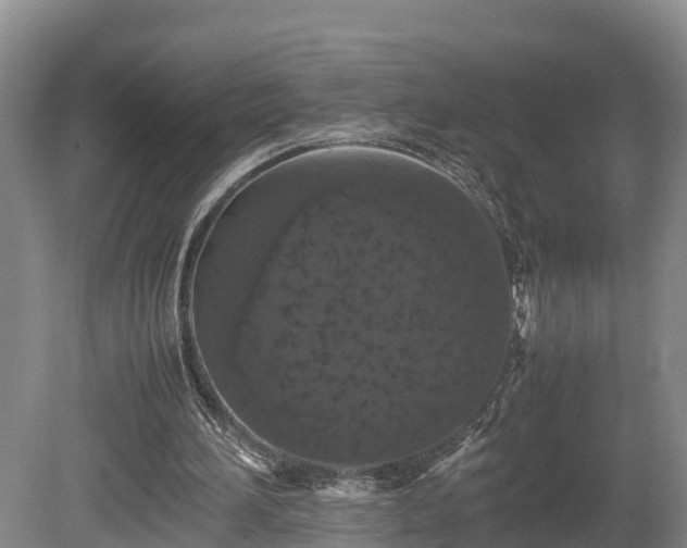 X0000080730196200612221301