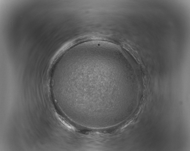 X0000080730197200612221301