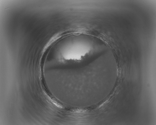 X0000080730198200612221301